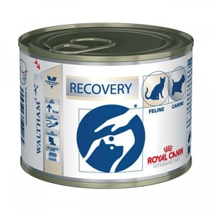 Royal Canin Recovery Feline