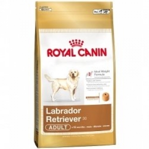 Royal Canin Adult Labrador Retriever