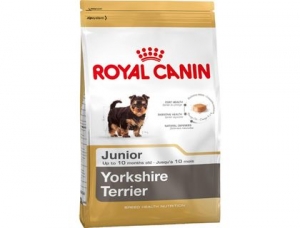 Royal Canin Junior Yorkshire Terrier