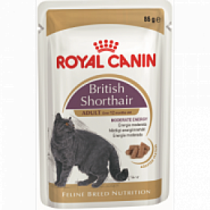 Royal Canin British Shorthair Adult