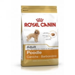 Royal canin poodle adult