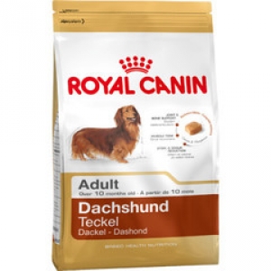 Royal Canin Dachshund Adult