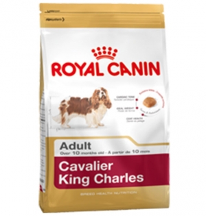 Royal Canin Cavaler King Charles Adult