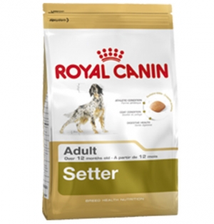 Royal Canin Setter