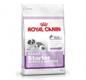 Royal Canin Giant starter