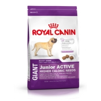 Royal Canin Giant junior active