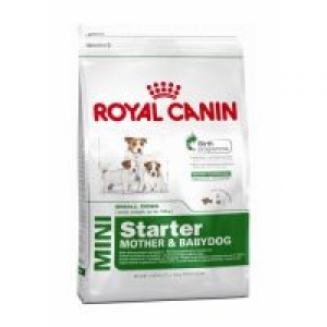 Royal Canin Mini starter